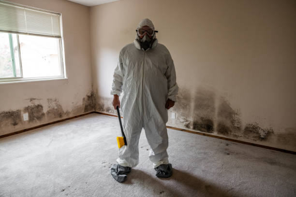Best Toxic Mold Removal  in Lincoln Park, NJ